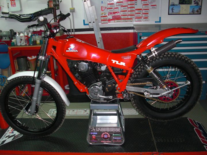 Honda TLR 250S Jbanyeres 31502610