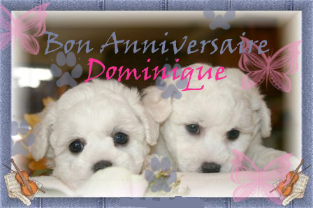 joyeux anniversaire Dominique Bichon10