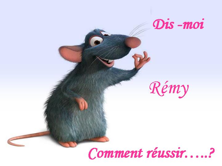 Dis - moi Rmy comment russir...?