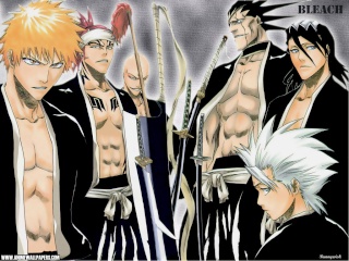 Rsum de Bleach Bleach10