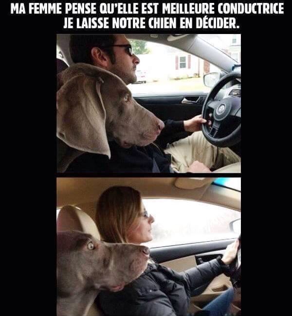 Un peu d'humour ne fait pas de mal en ce moment ! - Page 24 6b849c10