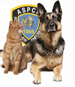 Signez l'engagement contre la cruaut Animale (ASPCA) Aspca10