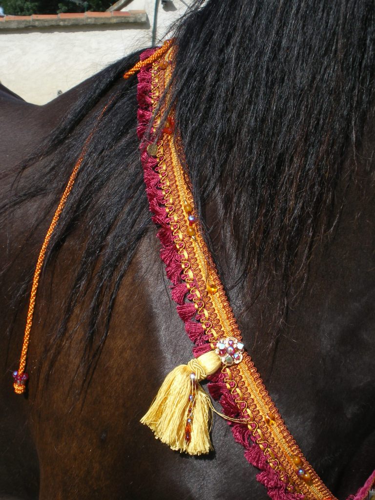 PARURE LICOL DE PRESENTATION ET COLLIER D'ENCOLURE en perles fait main  Imgp0637