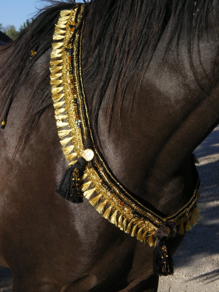 PARURE LICOL DE PRESENTATION ET COLLIER D'ENCOLURE en perles fait main  Imgp0722