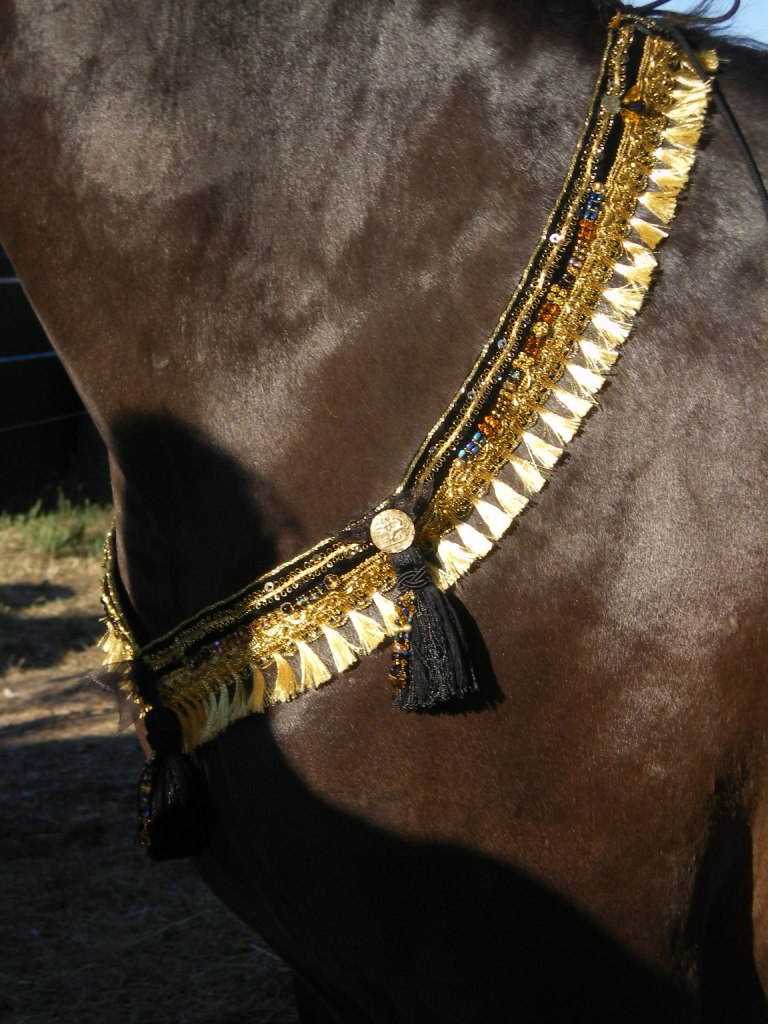 PARURE LICOL DE PRESENTATION ET COLLIER D'ENCOLURE en perles fait main  Imgp0723