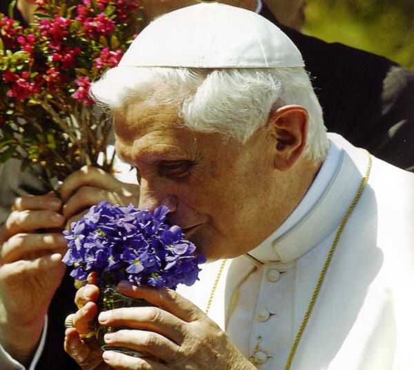 Le Sens du Sacré reviendra... Fleurs10