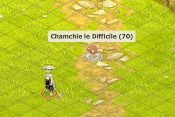 le difficile ..chamchie Chamch10