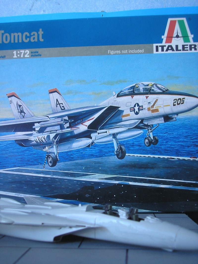 F14A Tomcat  Vf 142 [Italeri] 1/72 P3070310