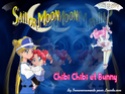 [Le Net] images de groupe sailor moon 10968311