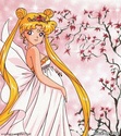(le net) image Bunny/ Sailor Moon / Princesse Srnity Moon7810
