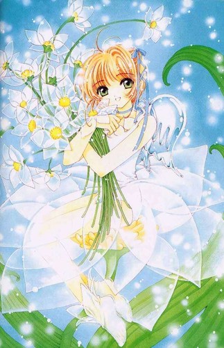 Sakura Kinomoto M-card10