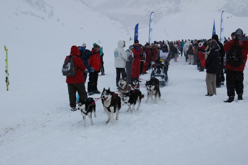 La Meute Magic Wolf - Presentation de nos chiens Dsc_6310