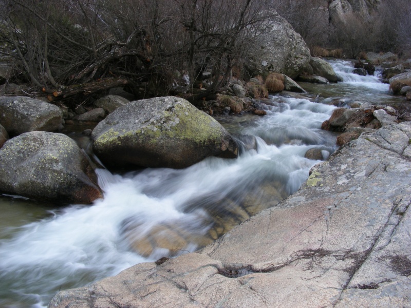 fotos de la rivera del manzanares en la pedriza Cosas_17