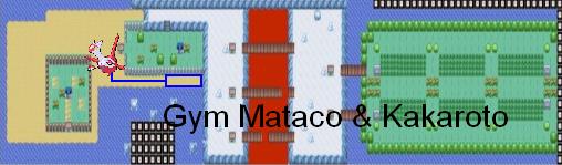 Mapas De Pokemonnegro