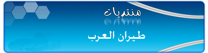طيران العرب
