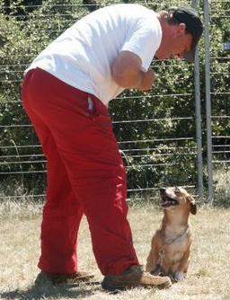 Une bénévole en refuge et une éducatrice canine sur Lyon Crocky10
