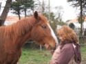 CHEVAUX : photos Mai Vos chevaux et Vous ( un joli portrait) Dscf2114