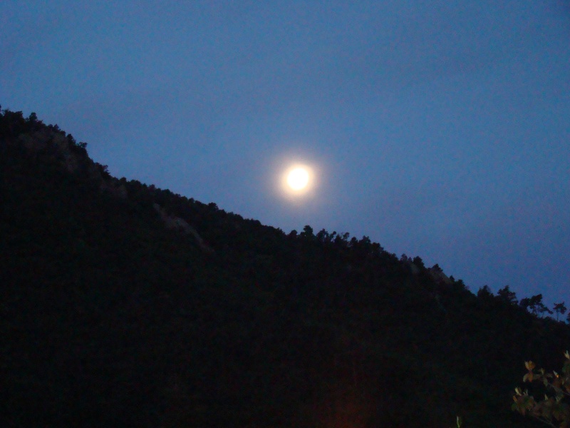 SUR LES PISTES DU CANIGOU Dsc07419