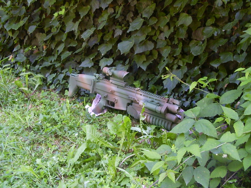 SCAR-L with Nemo custom pattern painting Pict0022