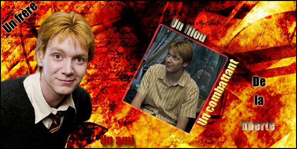 Demande Fred Weasley Banfre10