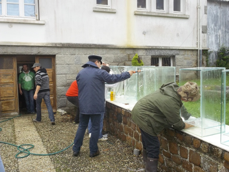 BOURSE MORLAIX 22 SEPTEMBRE 2012 100_1111