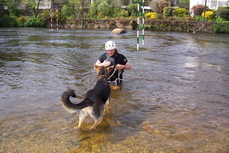 La natation canine We_loc10