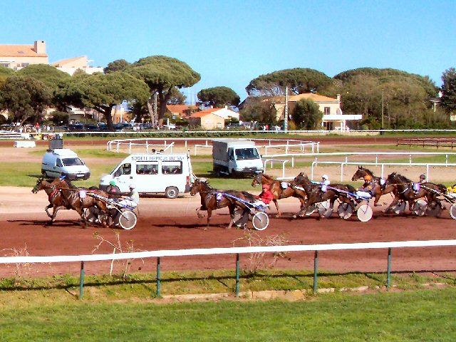 Réunion PMU du 1er mai à HYERES (Var) 20080524