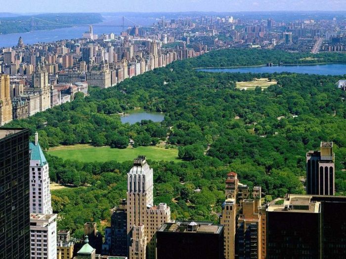 Central Park, Manhattan 00108