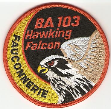 patch cambrai Hawk10