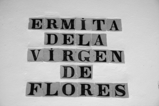 Entrega de Vara al Hno. Mayor Romera 2009 - Virgen de Flores, Encinasola. Hm-3210