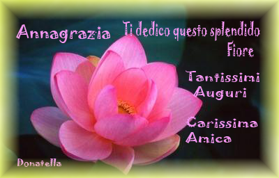 Buon compleanno Annagrazia Annagr10