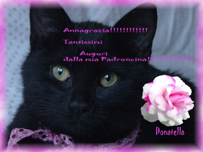 Buon compleanno Annagrazia Annagr11