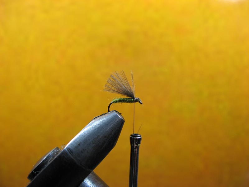 CDC Caddis (maslinasti) - Step by step 1312