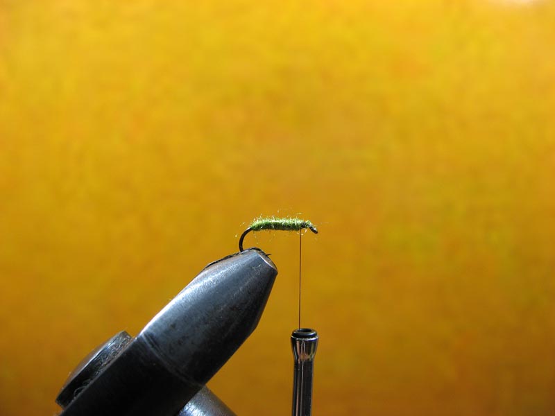 CDC Caddis (maslinasti) - Step by step 714