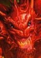 Le Dragon Rouge Dragon13