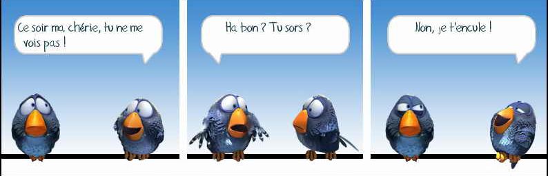 Les Birds Dessinés Encule10