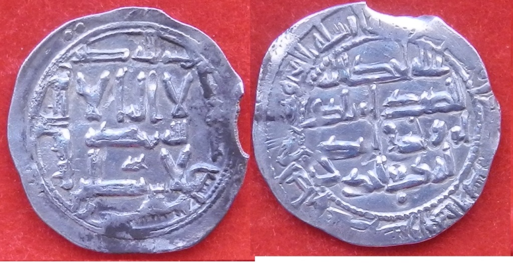 Dírham del 219 H, al-Ándalus, Abderramán II Dscn5411