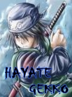 Prsentation Hayate Gekko Hayate10