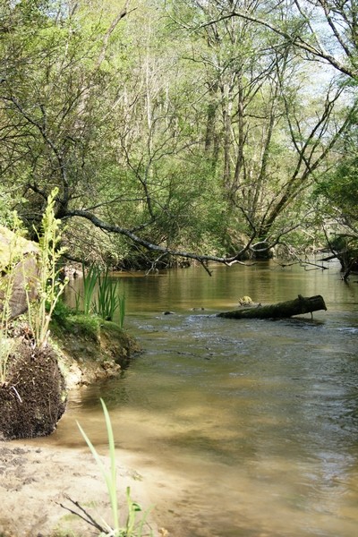 mes Landes natales !!! Dsc04114