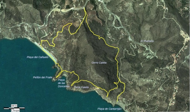 Acantilados de Maro-Cerro Gordo Orto_a10