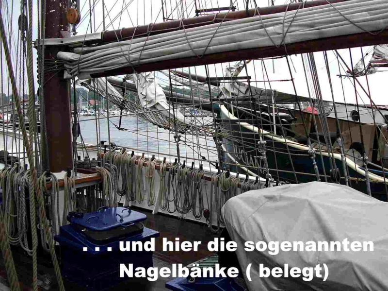 Hanse Sail Rostock vom 11.-14.08.2011 / MDK Hanse_50