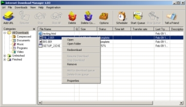 Internet Download Manager Softwa24