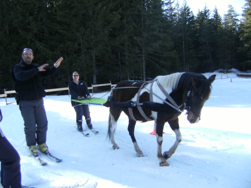 Découverte et initiation au Ski Joering Ski_jo10