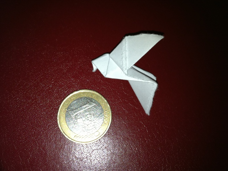 Origami Img_0214