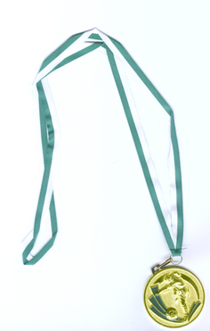PUNTUACION DE LA FSTA DE FI DE TEMPORADA Medall11