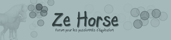 Ze Horse : forum sur l'quitation et les chevaux en gnral