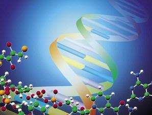 Ilmuwan Jepang Bikin DNA Buatan 15453010