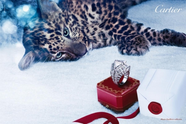 Cartier koleksioni i dimrit 2012! 12578