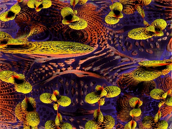 fractales de Juillet Fleurs10
