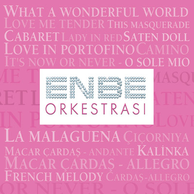 Enbe Orkestras - Engin Titiz & Behzat Gereker (2008) 72138610